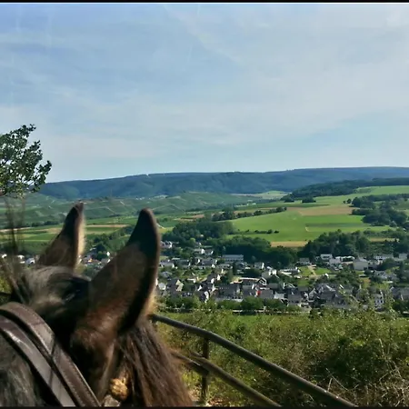 Idyllic Loft Kumani Ago - Rizas Hills Daire *