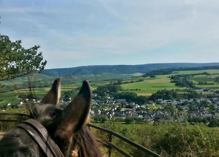 Idyllic Loft Kumani Ago - Rizas Hills Lägenhet *